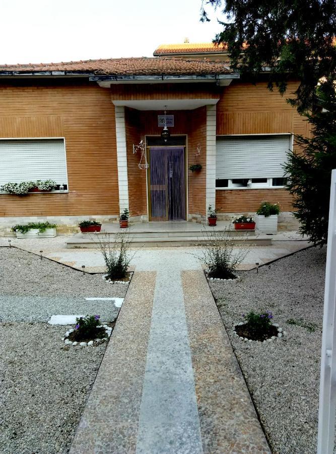Montesilvano Marina B&B Nonna Lilla מראה חיצוני תמונה