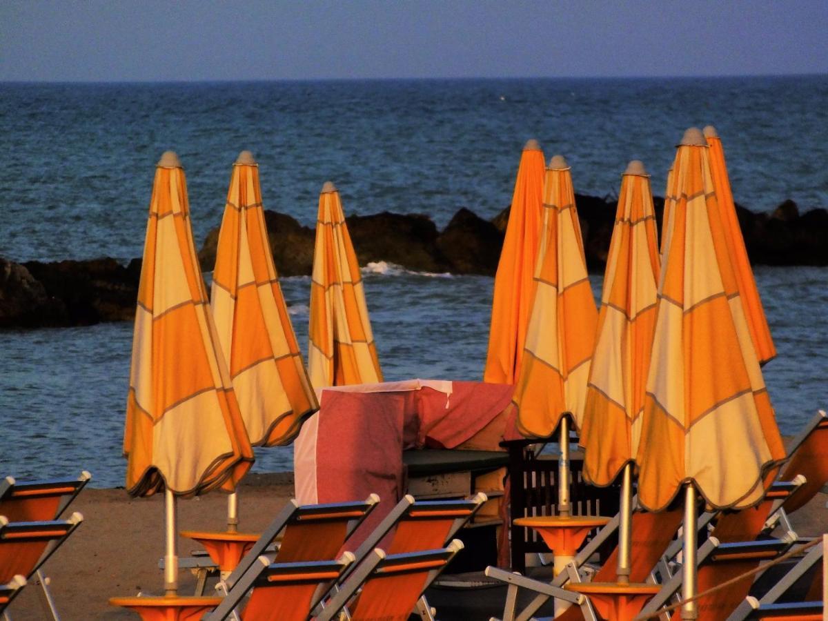 Montesilvano Marina B&B Nonna Lilla מראה חיצוני תמונה